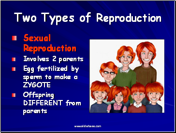 Two Types of Reproduction