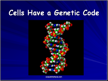 Cells Have a Genetic Code