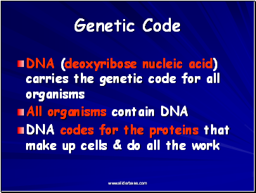 Genetic Code