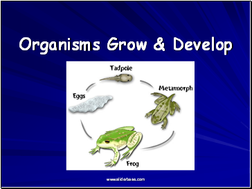 Organisms Grow & Develop