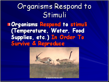 Organisms Respond to Stimuli