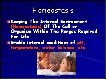 Homeostasis