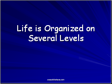 Life is Organized on Several Levels