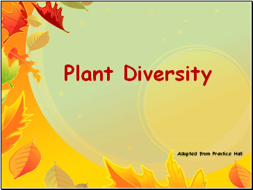 Plant Diversity