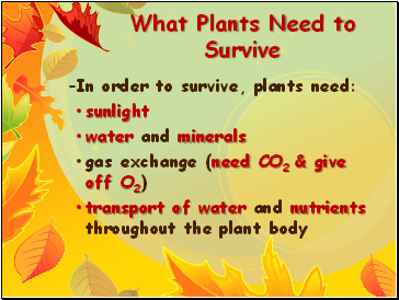What Plants Need to Survive