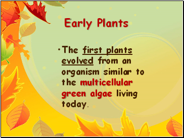 Early Plants