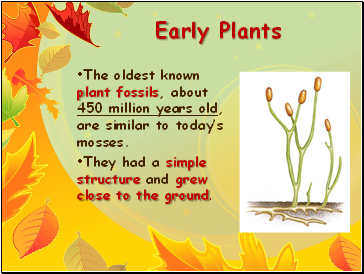 Early Plants