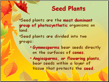 Seed Plants