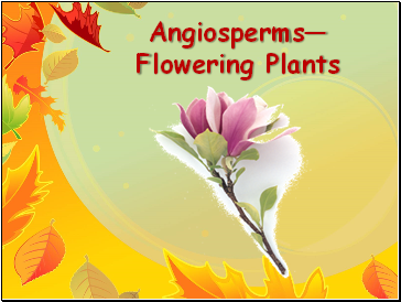 AngiospermsFlowering Plants