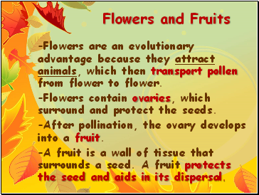 Flowers and Fruits