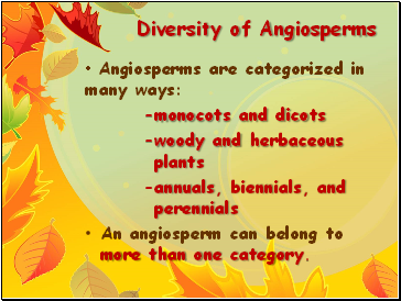 Diversity of Angiosperms