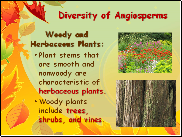 Diversity of Angiosperms