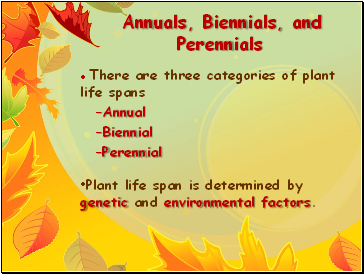 Annuals, Biennials, and Perennials