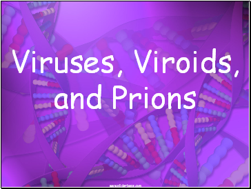 Viruses, Viroids, and Prions