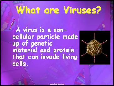 What are Viruses?
