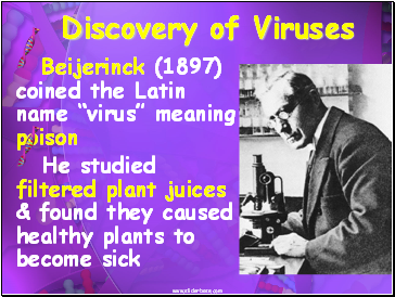 Discovery of Viruses