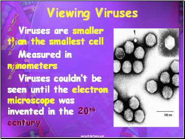 Viewing Viruses
