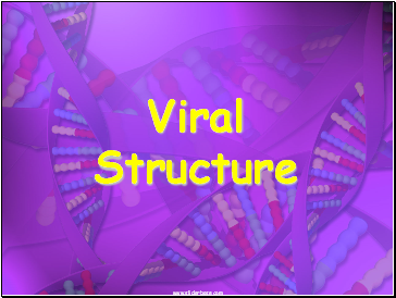 Viral Structure