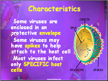 Characteristics