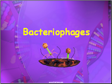 Bacteriophages