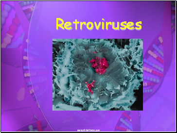 Retroviruses