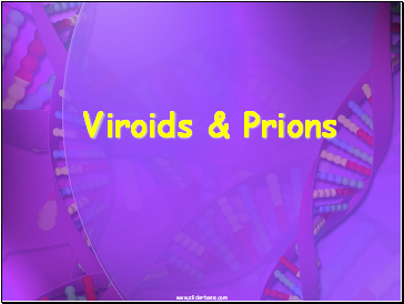 Viroids & Prions