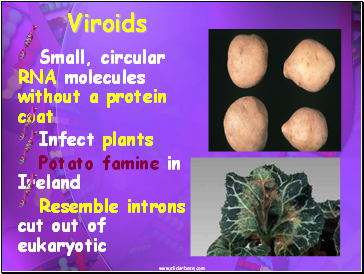 Viroids