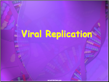 Viral Replication