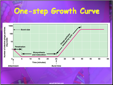 One-step Growth Curve