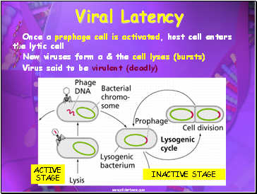 Viral Latency