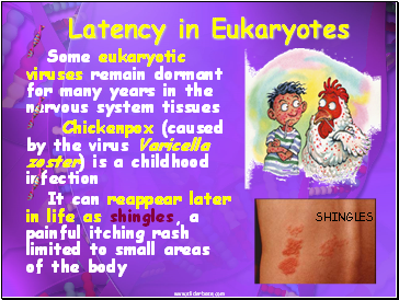 Latency in Eukaryotes