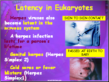 Latency in Eukaryotes