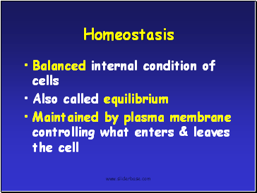 Homeostasis