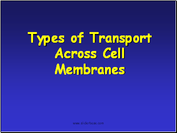 Types of Transport Across Cell Membranes