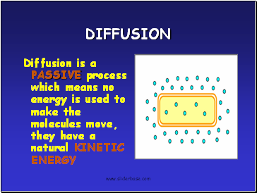 DIFFUSION