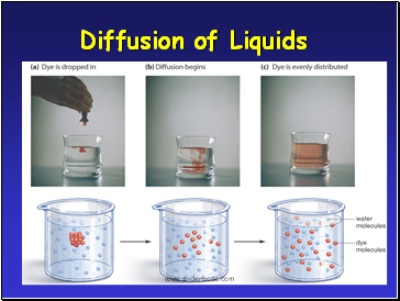 Diffusion of Liquids
