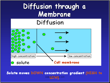 Diffusion through a Membrane