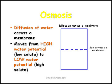 Osmosis