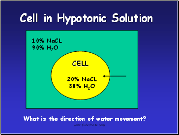 Cell in Hypotonic Solution