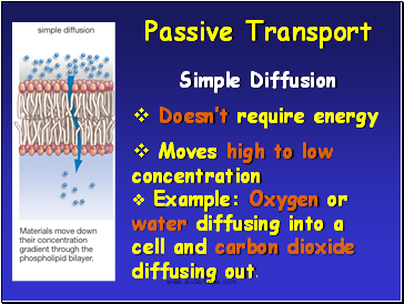 Passive Transport