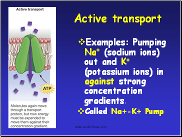 Active transport