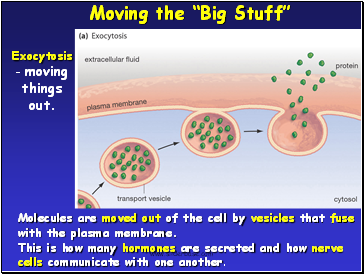 Moving the Big Stuff