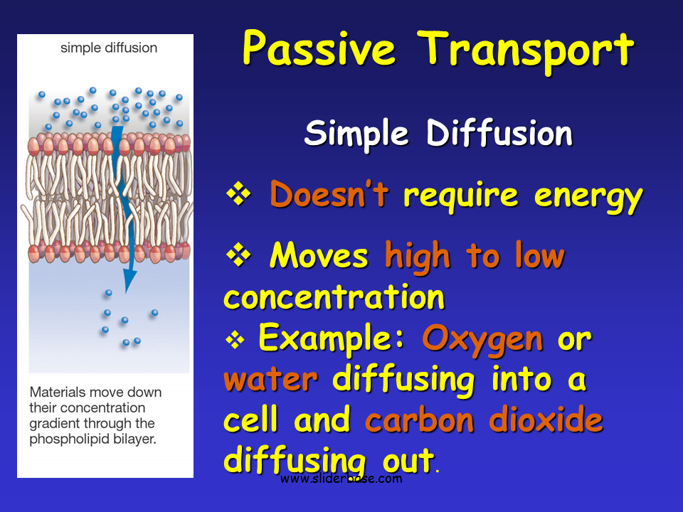 Solubility