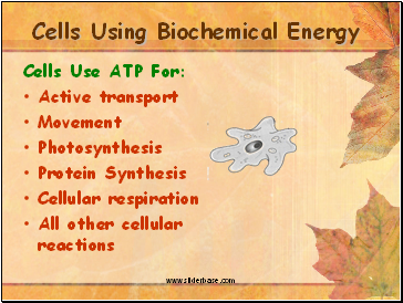Cells Using Biochemical Energy