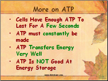 More on ATP
