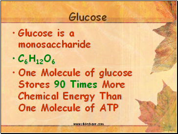 Glucose