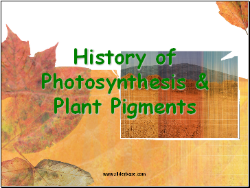 History of Photosynthesis & Plant Pigments