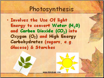 Photosynthesis