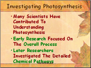 Investigating Photosynthesis