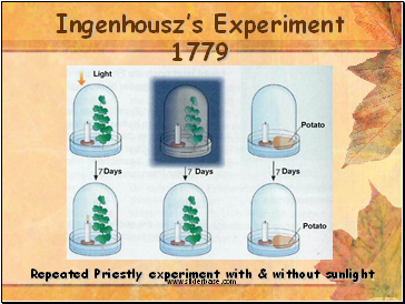 Ingenhousz’s Experiment 1779